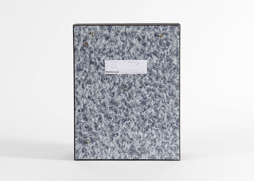 insect sculpture despont