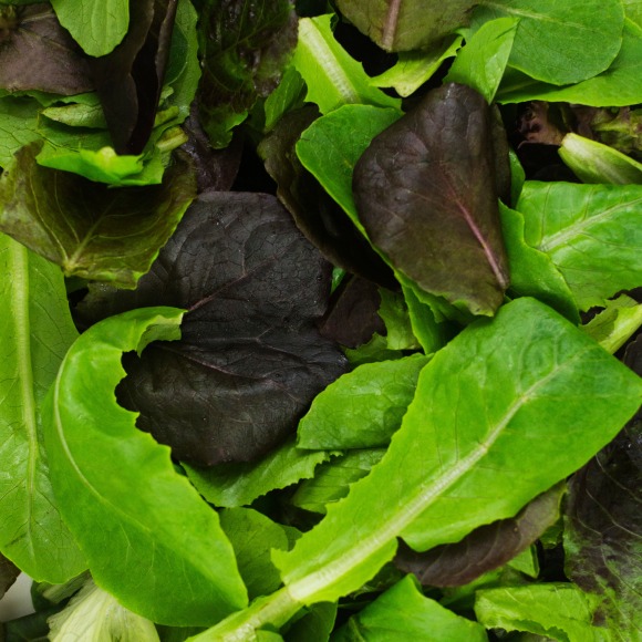 Romaine Baby Leaf Mix