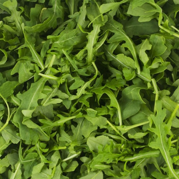 Wild Arugula Food Service Packs