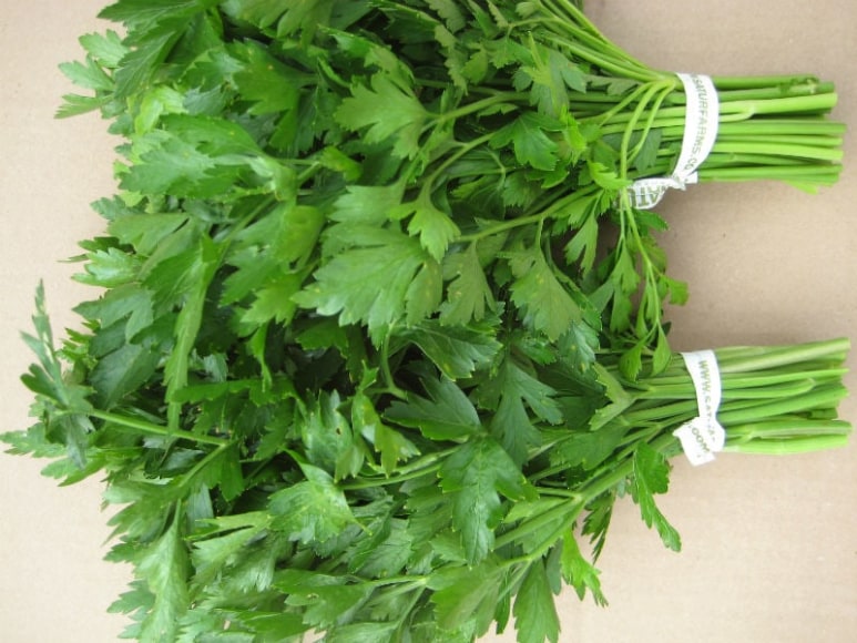 The freshest herbs are key to a flavorful dish. Our parsley is a powerful companion to the taste of fresh zucchini.