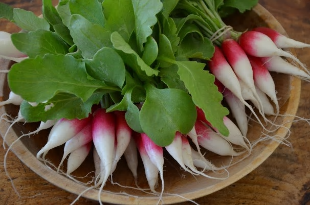 Breakfast Radishes