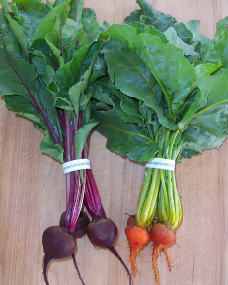 Baby Beets