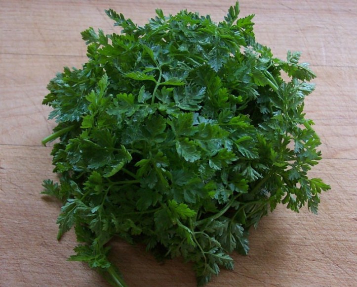 Chervil
