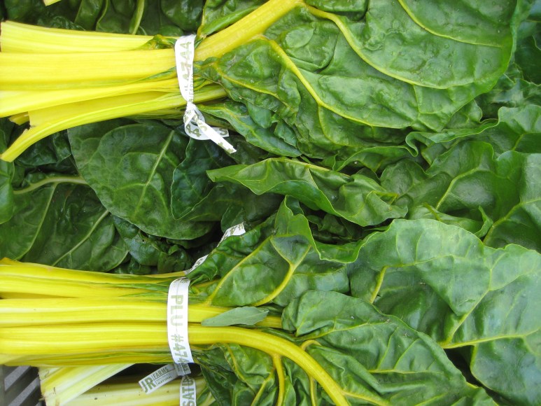 Gold Chard