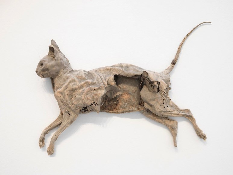 Slip Graham Collins, Alex Da Corte, Brock Enright, Petrova Giberson