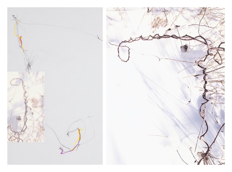 Sandi Haber Fifield  Untitled (LF 17 #176), 2016  Archival Pigment Print with Mixed Media on Vellum  16h x 22 1/2w in, unique. mixed media