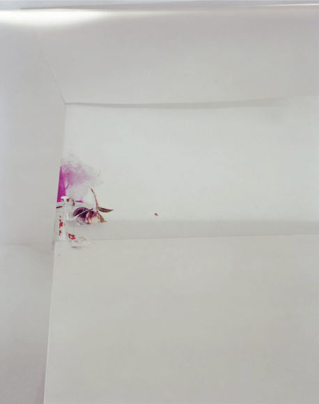 Laura Letinsky,  Untitled #46, from the series Ill Form and Void Full, 2013  Archival Pigment Print,  45 1/2h x 36w in, Edition of 9, Photography