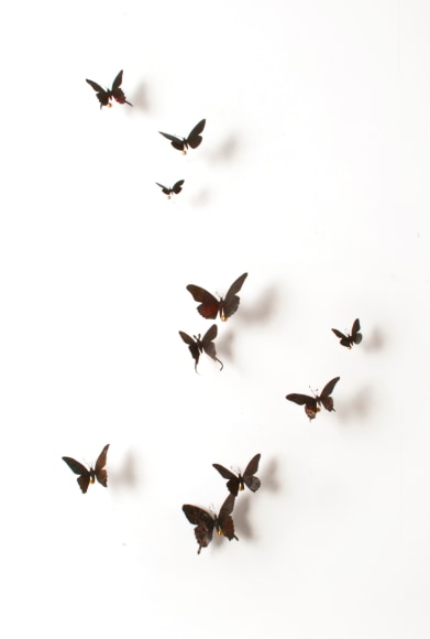 Paul Villinski, Memo (Night), 2016, Aluminum (Found Cans), Wire, Soot, Dimensions Variable,