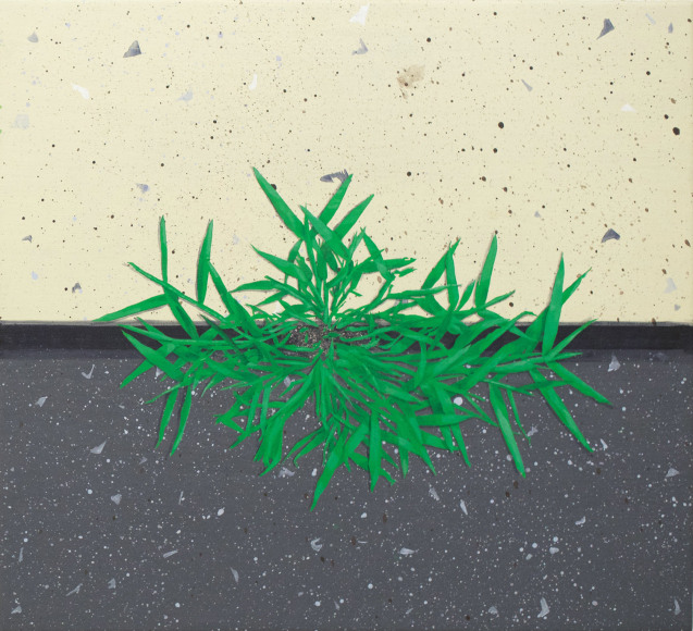 Hannah Cole  Crabgrass #2, 2017  Acrylic on canvas  18h x 20w in, Painting, Contemporary Art