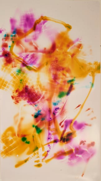 Bryan Graf  Random Walk Peaks Island 2, 2013  photogram  30h x 59w in