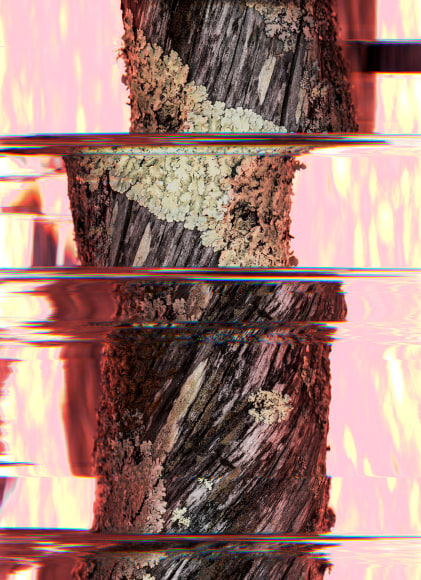 Abstract colorful scan of nature