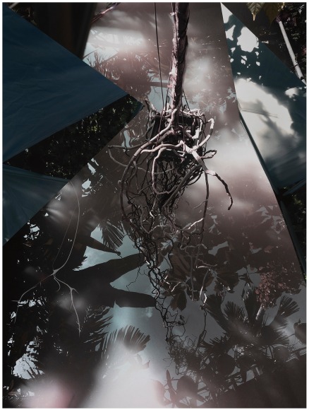 Collaged photograph from the series "The Certainty of Nothing," by Sandi Haber Fifield