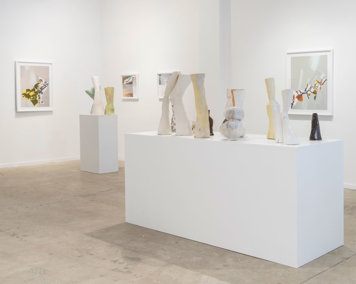 Gallery installation view of Sandi Haber Fifield and Laura Letinsky