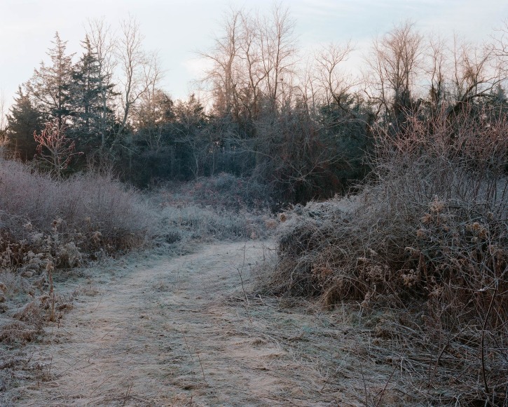 Tema Stauffer  Winter Path, Livingston, New York, 2016  Archival Pigment Print  24h x 30w in, Edition of 8  30h x 36w, Edition of 8  42h x 50.5w, Edition of   TS_010