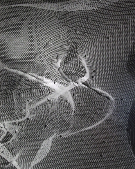 Ben Nixon  Twisted Lobos, 2018  unique silver gelatin photogram  10h x 8w in