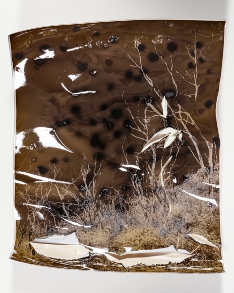 Gesche Würfel  Wayah Bald, NC (3), version 1, 2020-2021  Solarized and roasted gelatin silver print on glossy RC paper  14h x 11w in 35.56h x 27.94w cm  GW_019, Sepia Color, Landscape, burned image commentating on climate change