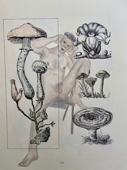 Orly Cogan  Untitled, 2020