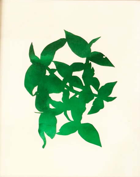 Hannah Cole  Dark Green Weed, 2018  watercolor on cut paper, art, downtown asheville,