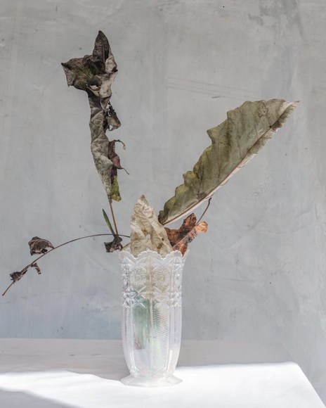 Color photograph of leaves in vase on table, by James Henkel