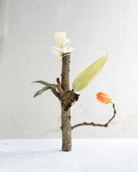 James Henkel  Orange Tulip From the Series Botanicals, 2020  20h x 16w in 50.80h x 40.64w cm  Edition 5  JHe_071 a thick stick with a white and orange flower on it