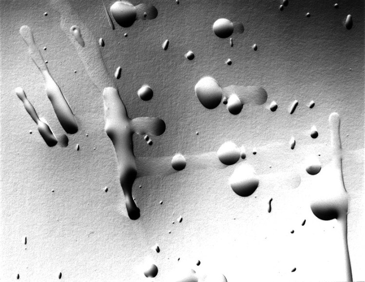 Ben Nixon  Tanguy Sunrise, 2017  unique silver gelatin photogram  3h x 3 7/8w in