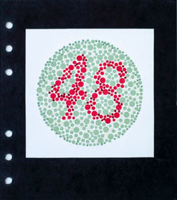 Lydia See  Colorblindness Tests - #48, 2020  &ldquo;Dvorine Pseudo-Isochromatic Plates&rdquo;, cotton embroidery thread, gouache  6 3/4h x 6w in 17.15h x 15.24w cm  LS_009  $ 250.00 unframed, The number 48 in red dots, surrounded by yellow and green dots, hand embroidery