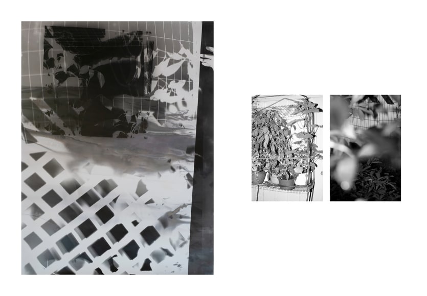 Shot/Reverse Shot #2, 2020  50 x 40 inches and 10 x 8 inch Diptych  2 Photograms  Unique, black and white abstract photogram