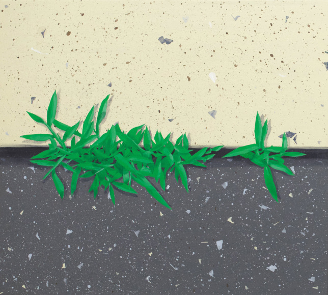 Hannah Cole  Crabgrass #1, 2017  Acrylic on canvas  18h x 20w in 45.72h x 50.80w cm  HC_014