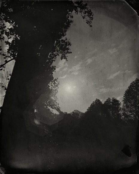 Black and white landscape tintype photograph