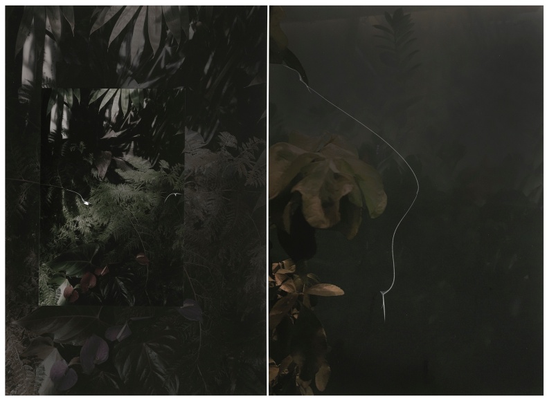 Collaged photograph by Sandi Haber Fifield