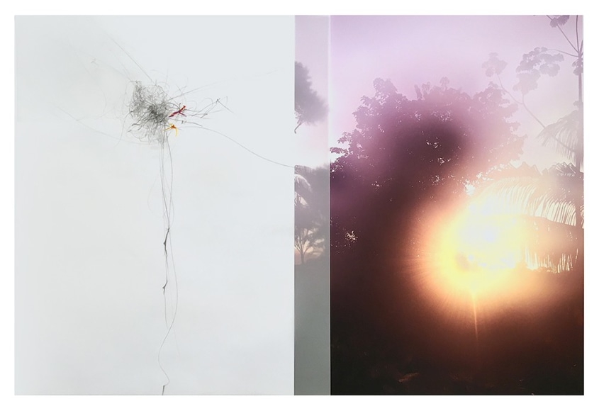 Collaged photograph by Sandi Haber Fifield