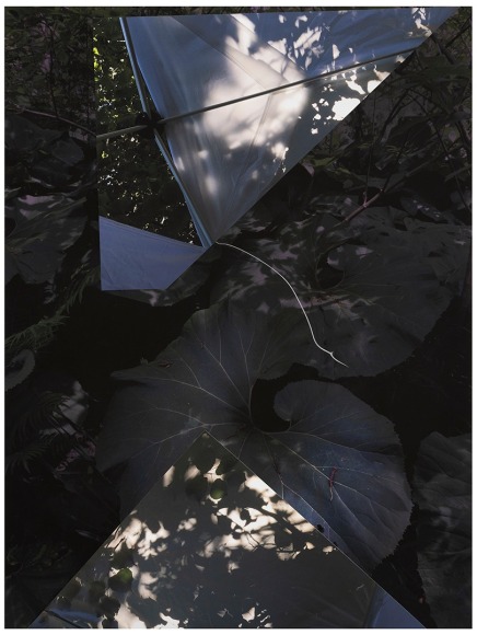 Collaged photograph by Sandi Haber Fifield