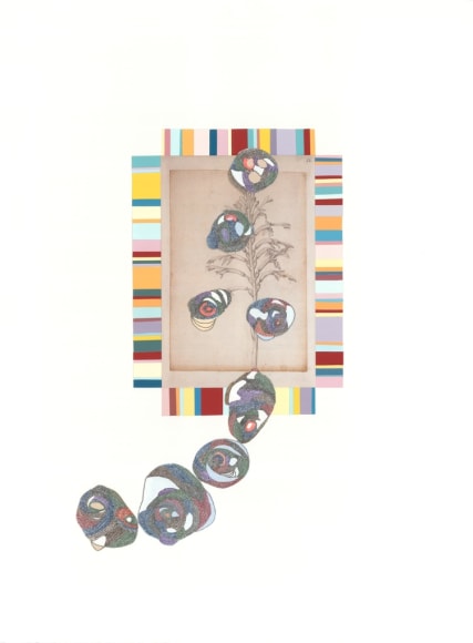 Kirsten Stolle, Sequencing Nature 5, from the series Sequencing Nature, 2013, graphite, ink pen, collage on paper, 30h x 22w in