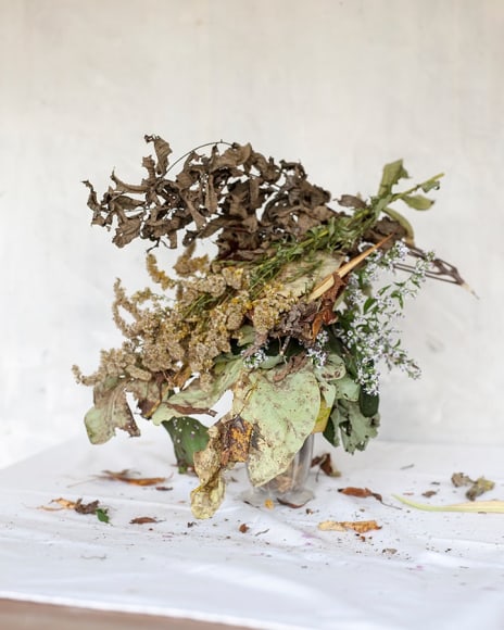 Color photograph of dried plants in cup on table, by James Henkel