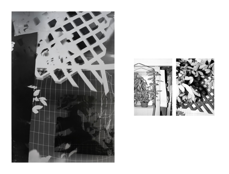 Shot/Reverse Shot #3, 2020  50 x 40 inch and 10 x 8 inch Diptych  2 Photograms  Unique, black and white abstract photograms