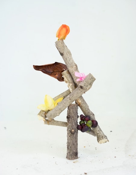 Color photograph of branches and flowers by James Henkel