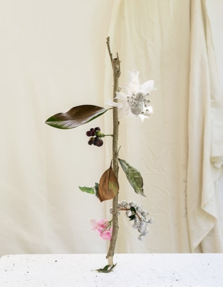 James Henkel  Silver From the Series Botanicals, 2020  20h x 16w in 50.80h x 40.64w cm  Edition 5  JHe_073 a stick with flowers and leaves on it