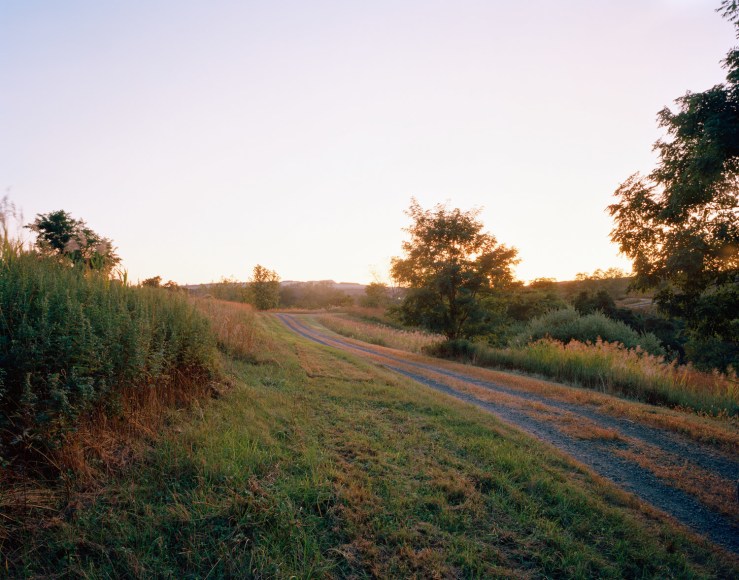 South Mound at Sundown, Freshkills, NYC, 2019. Photograph of a golden landscape at sundown.