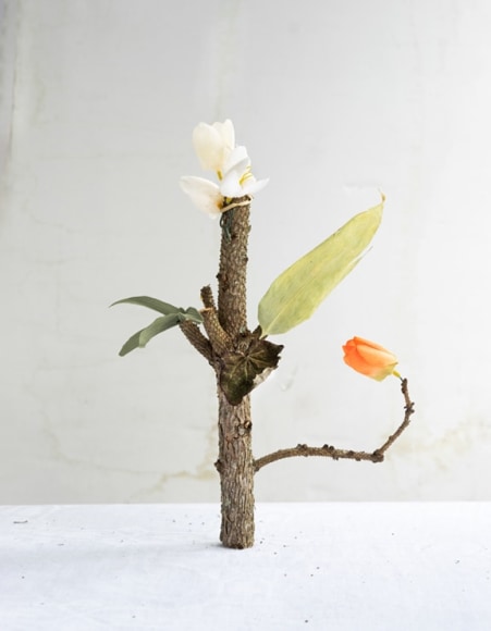 Color photo of flowers and branches by James Henkel