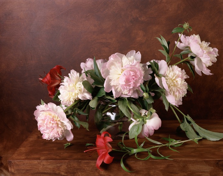 Sharon Core  1889, from the series &quot;1606-1907&quot;, 2015  Archival Pigment Print, photography, Asheville, contemporary art