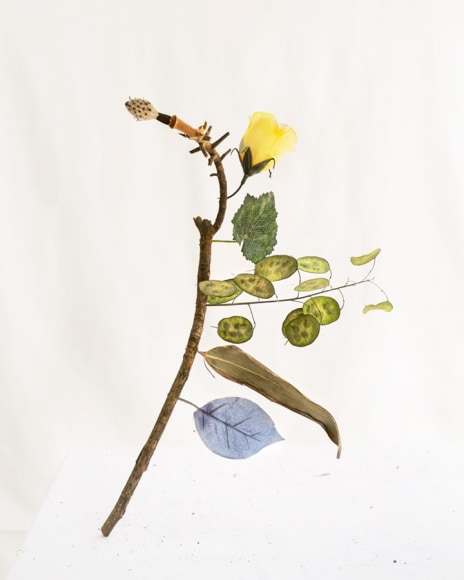James Henkel  Blue Leaf From the Series Botanicals, 2020  20h x 16w in 50.80h x 40.64w cm  Edition 5  JHe_067 a stick with flowers and leaves on it