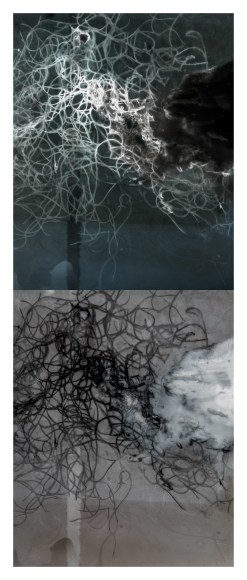 Two panel photograph of X-ray view of netting