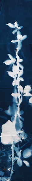 Dawn Roe  Lister Route from the series Conditions for an Unfinished Work of Mourning: Beauty As an Appeal to Join the Majority of Those Who Are Dead, 2017  Digitized Cyanotype  Dimensions Variable, Photography