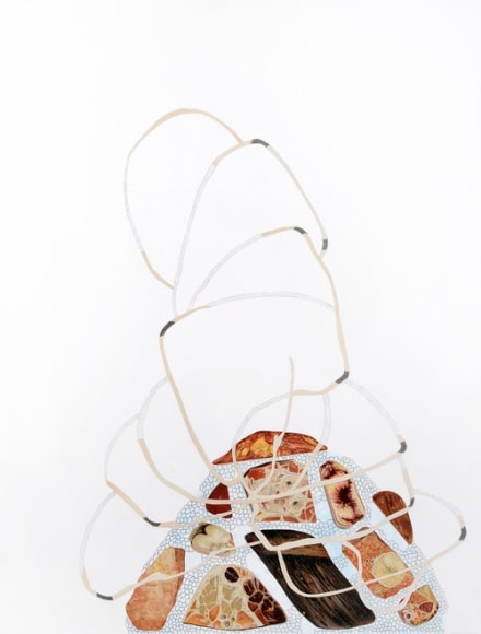 Kirsten Stolle, Hierarchal Cross Section, from the series Poison Control, 2012, gouache, graphite, collage on paper, 30h x 22w in