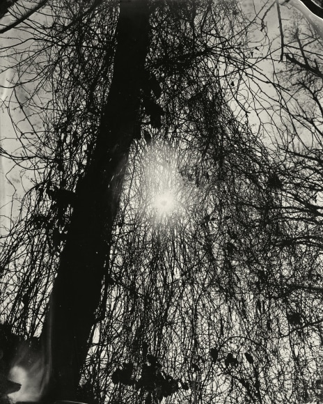 Black and white landscape tintype photograph