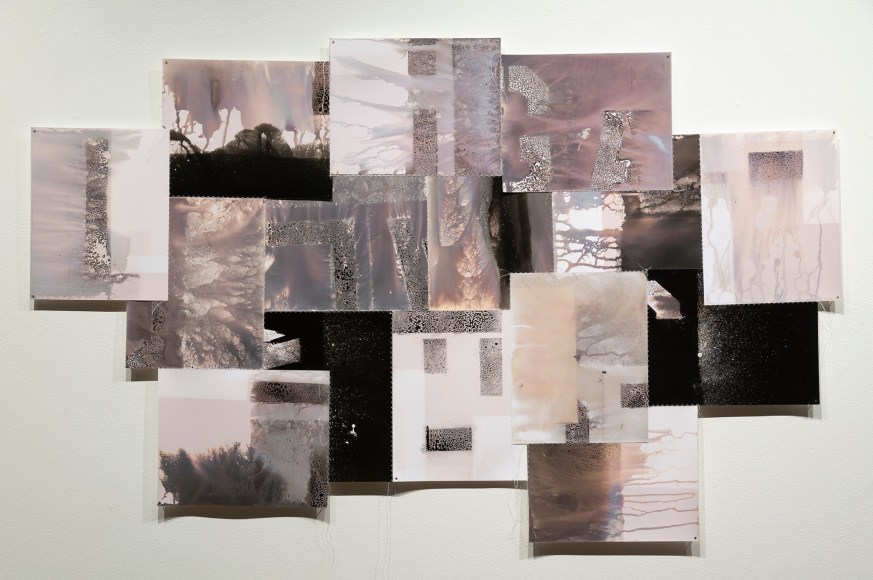 Bridget Conn  Vague Word #4, 2018  Silver Gelatin Photographic Chemigram collage, thread, nails  29h x 47w x 1d in