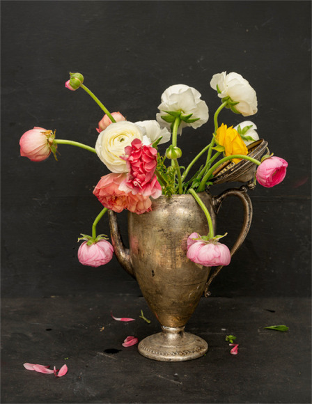 Still like of a colorful mix of ranunculus flowers in a tarnis hed silvervase. the still life is set on a black background