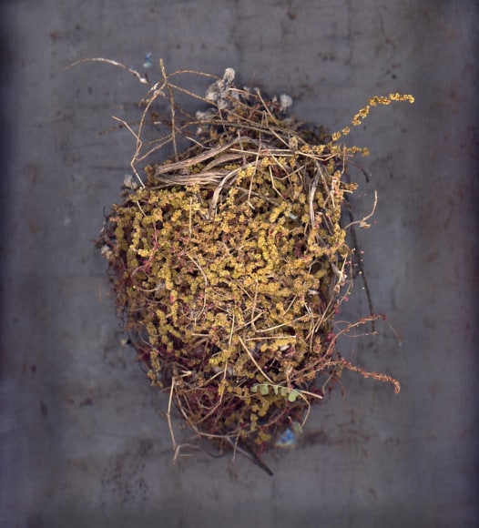 Colby Caldwell mirror, mirrored (15), 2017 Archival inkjet print mounted on csm 55h x 50w in, Edition of 3