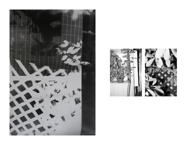 Shot/Reverse Shot, Gardening at Night #4, July 26, 2020  50 x 40 inch and 10 x 8 inch diptych  2 photograms  Unique, black and white abstract photograms