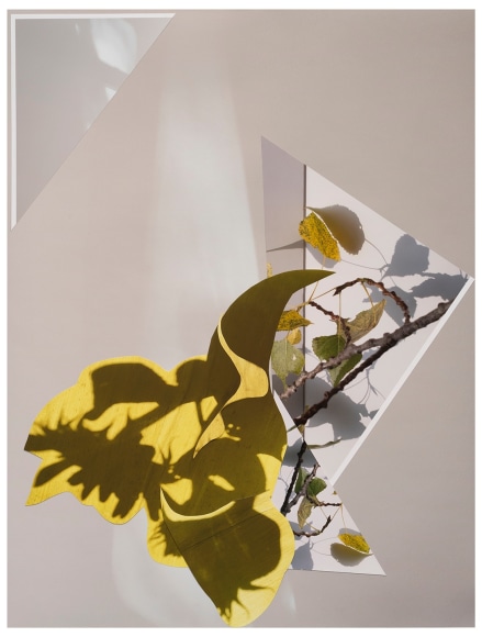 Collaged photograph by Sandi Haber Fifield